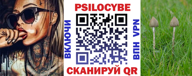 где можно купить наркотик  Шахунья  Псилоцибиновые грибы GOLDEN TEACHER 