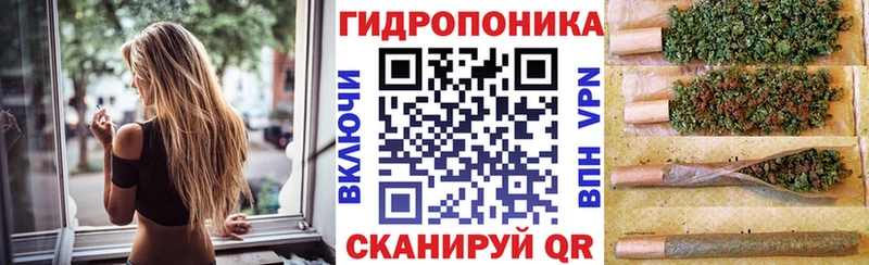 МАРИХУАНА AK-47 купить наркотик Шахунья
